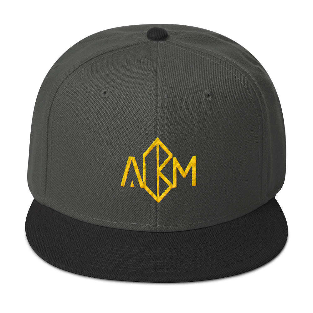 A.M. Barkcley Snapback(logo) (more  colors avail)